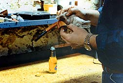 staining and oiling